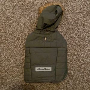 This Eddie Bauer (Pet) Jacket is really nice and cute for any small pets.
